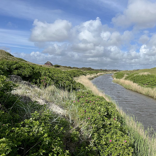 Funktionieren ist keine Lösung